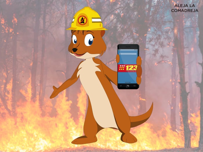 Incendios forestales - Noticias de Ambiente - Secretaría Distrital de  Ambiente