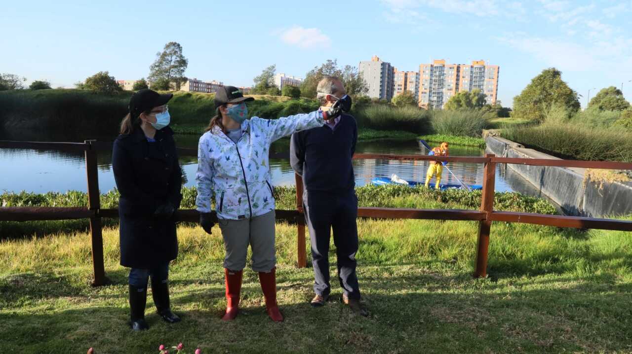 La secretaria de Ambiente, Carolina Urrutia, lideró una jornada de limpieza y liberación de tinguas en el humedal El Burro, en compañía de Ómar Franco y Gabriela Niño, expertos de la Misión Humedales.