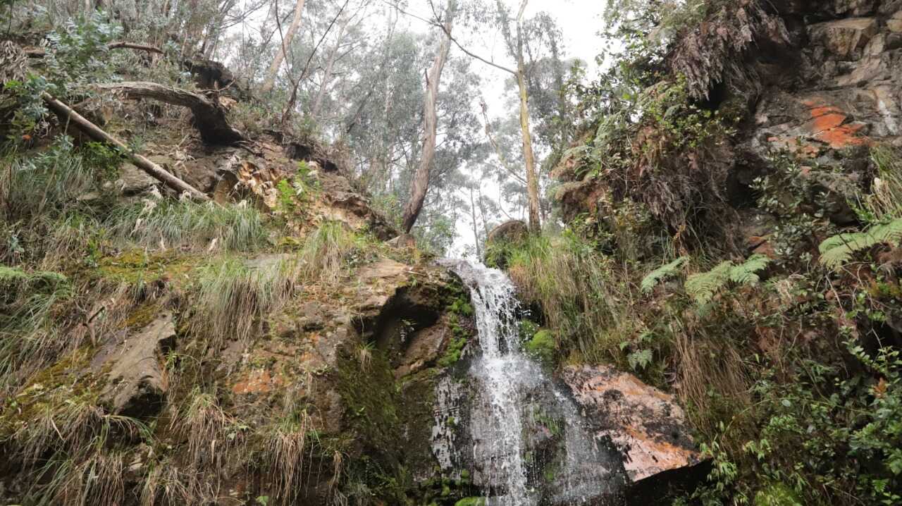 La quebrada Las Delicias recoge el agua que nace en los Cerros Orientales.