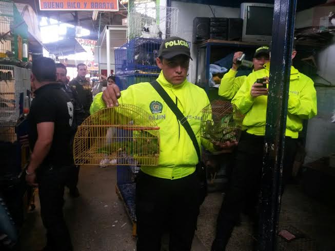 Policía incauta aves en plaza de mercado de El Restrepo