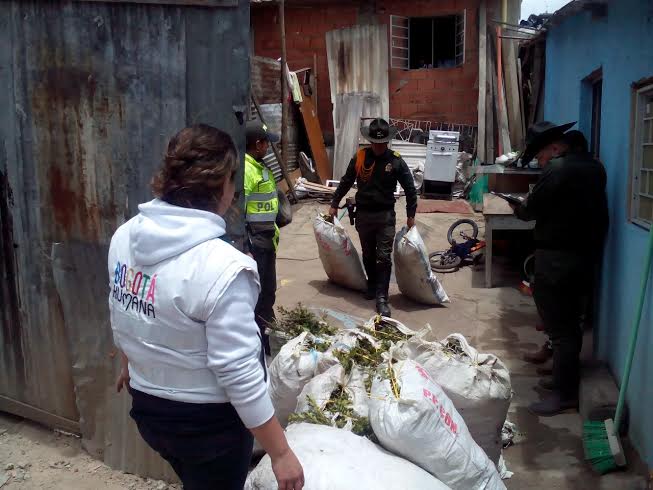 Funcionarios de la SDA y miembros de la Policía Nacional recuperan bultos de Laurel de Cera que iban a ser comercializados