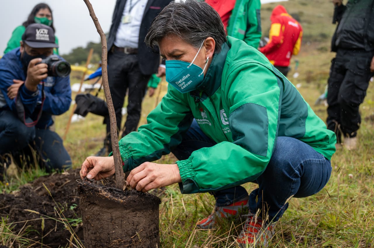 Alcaldesa lanza esquema 5x1 de plantación. '10.000 nuevos árboles para Bogotá'
