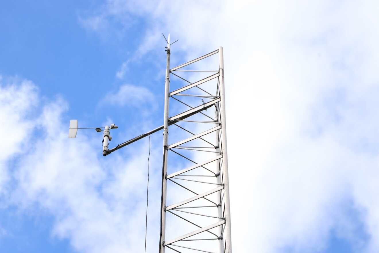 ¿Qué es el Black Carbono?