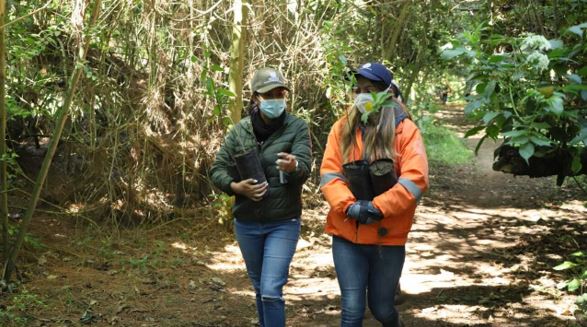 Personas caminan con especies vegetales