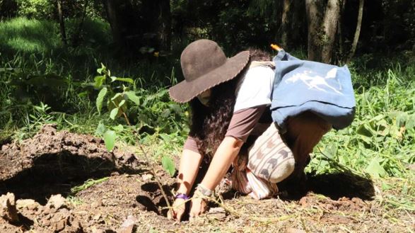 Ciudadana planta un árbol.