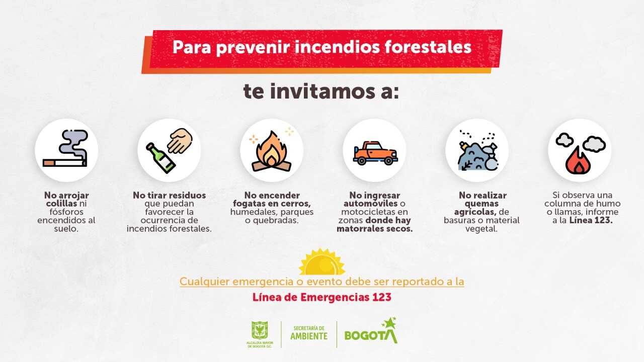 Pieza gráfica sobre la prevención de incendios forestales