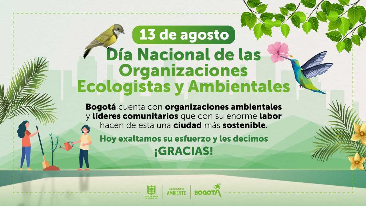 Pieza gráfica de las organizaciones ecologistas y ambientales