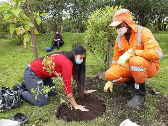 Personas en plantación