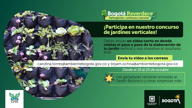Pieza gráfica sobre el concurso de jardines verticales