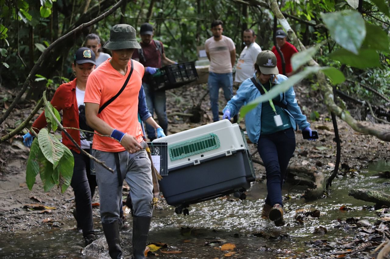 Personas en la liberación de fauna silvestre
