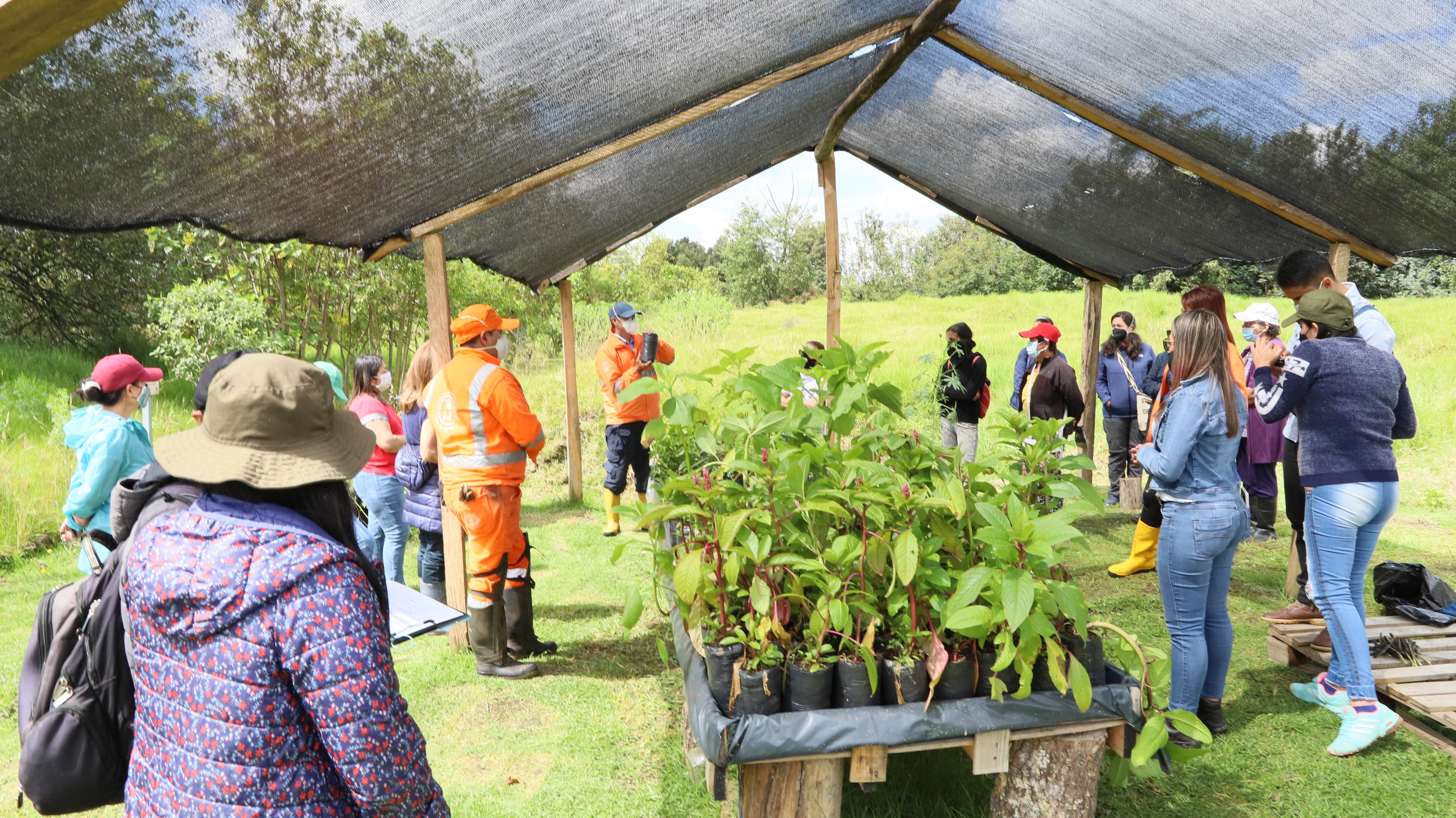 Recorrido en vivero