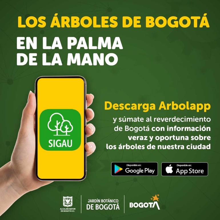 Pieza informativa sobre la aplicación Arbolapp