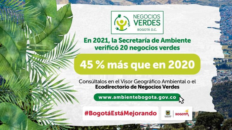 Pieza gráfica sobre el incremento de negocios verdes