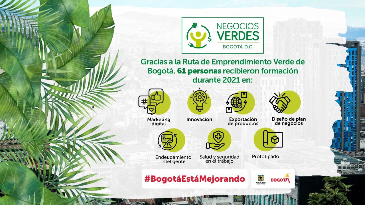 Pieza gráfica sobre formación en negocios verdes