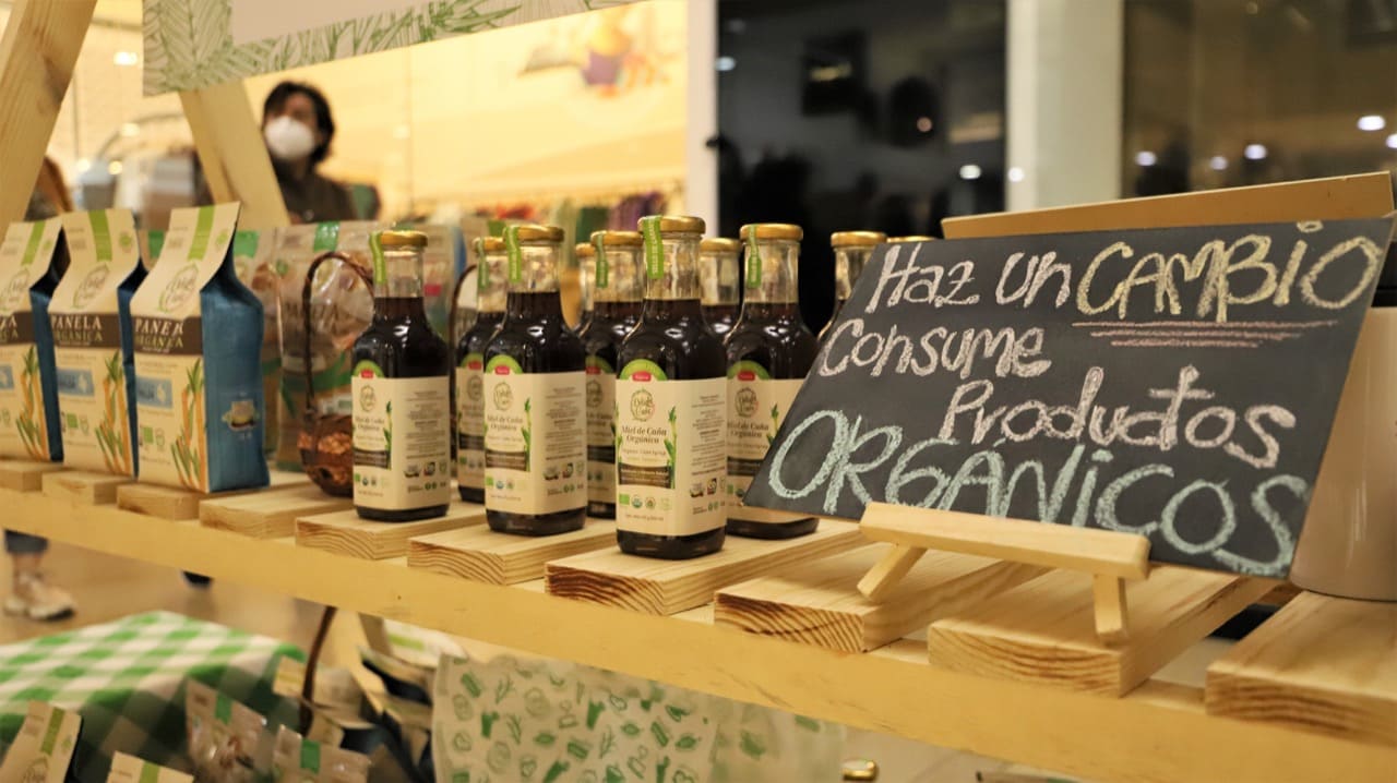 Foto de productos sostenibles