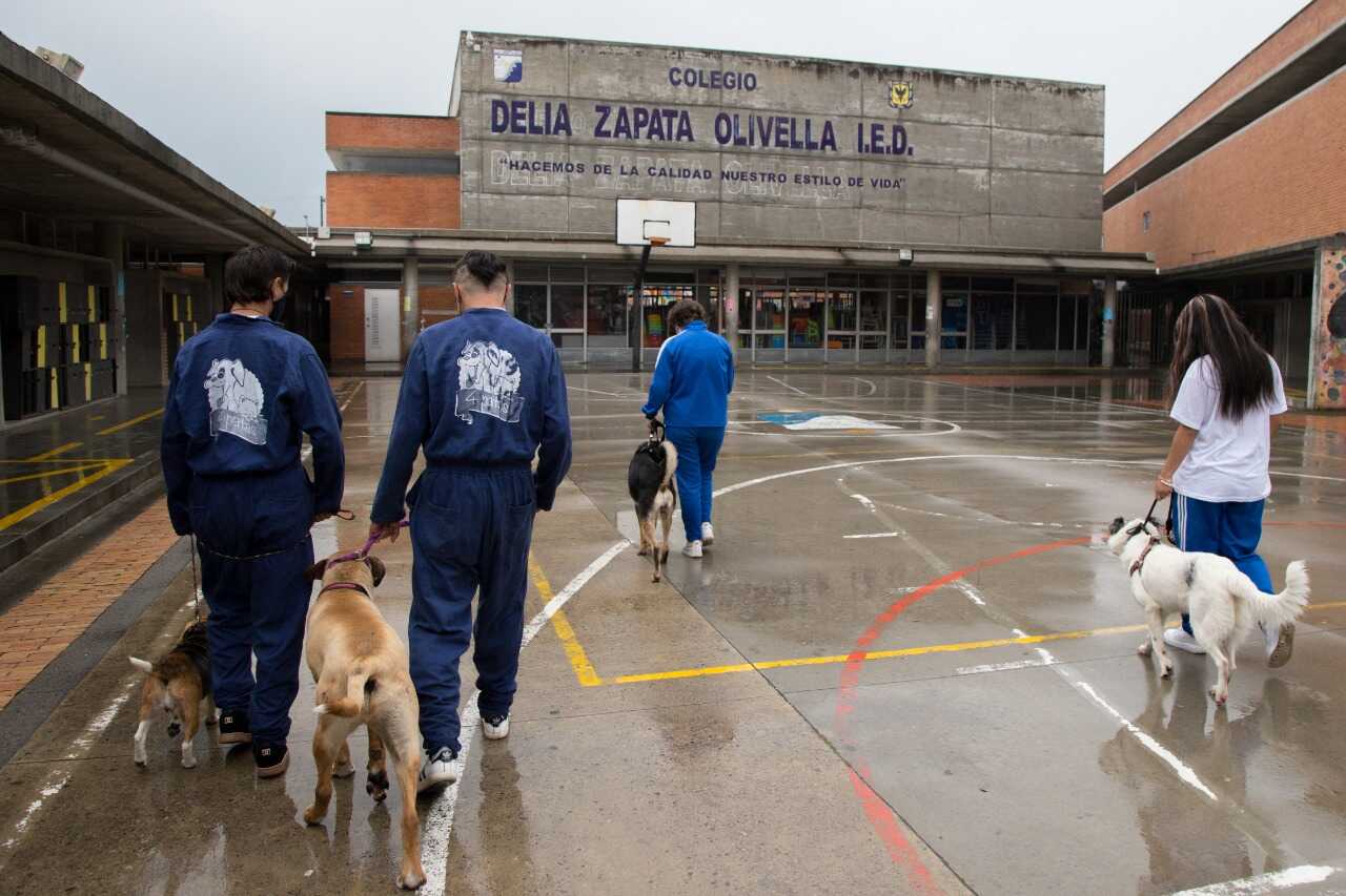 En el colegio Delia Zapata los estudiantes se hacen cargo del cuidado de los animales.