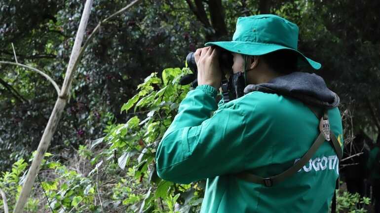 Persona en jornada de avistamiento