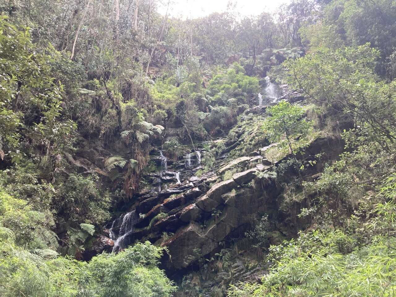 Quebrada Las Delicias