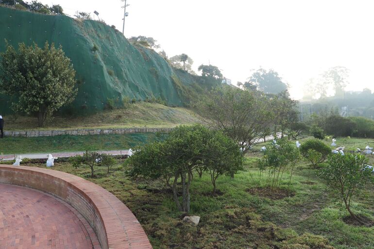 El parque Mirador de los Nevados es un área protegida del Distrito de 48 hectáreas. Foto: Comunicaciones, Secretaría de Ambiente. Vista del parque Mirador de los Nevados.
