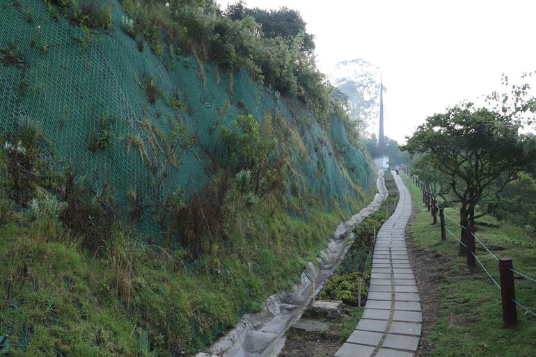 Con el POT, Mirador de los Nevados pasó de ser parque urbano a parque ecológico de montaña. Foto: Comunicaciones, Secretaría de Ambiente. Senderos del parque Mirador de los Nevados.