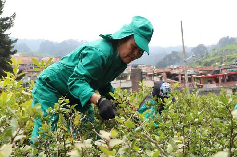 Una mujer del programa Mujeres que Reverdecen elabora tareas de jardinería