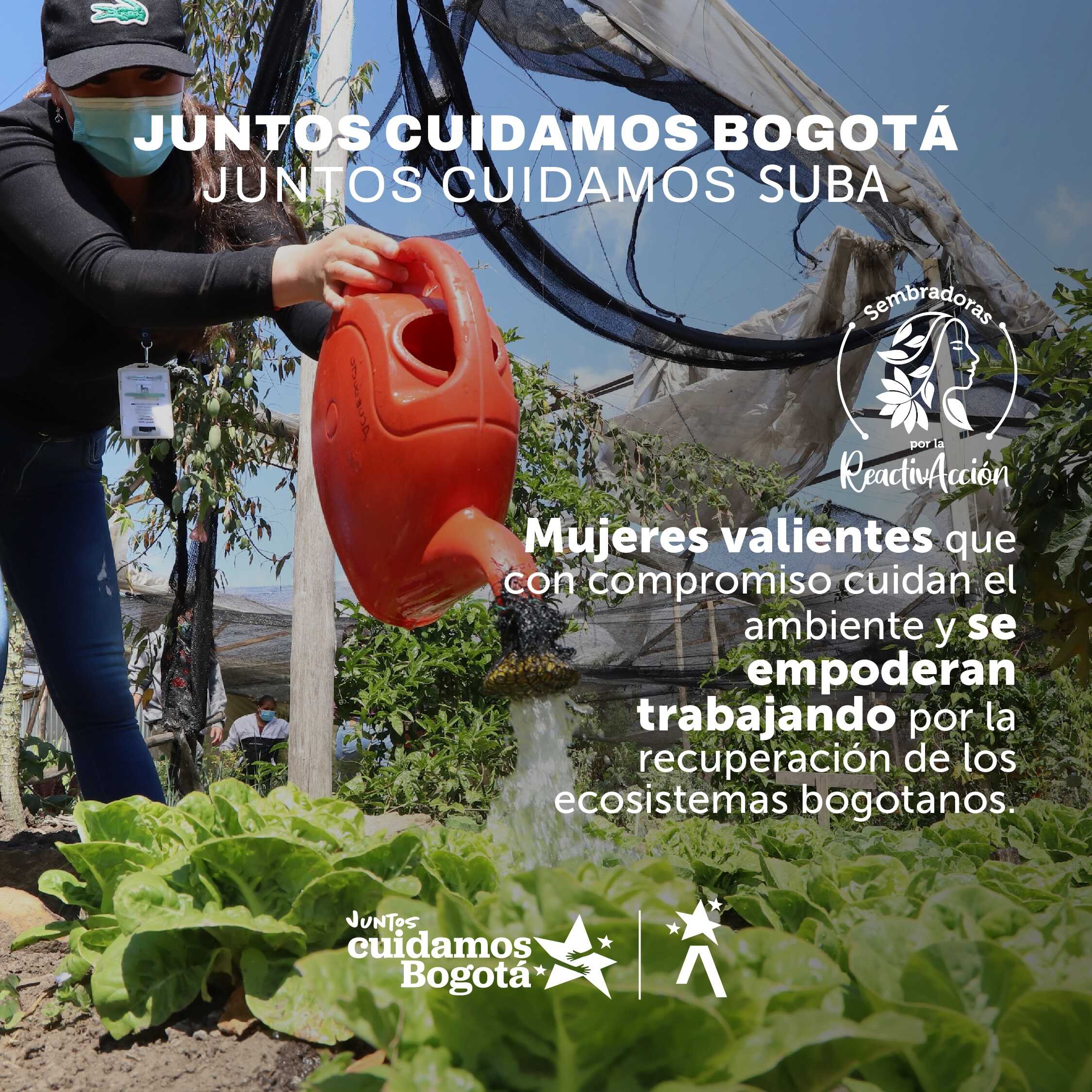Pieza informativa trabajo mujeres en Suba