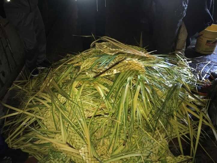 Estos ramos, elaborados con palma de cera, fueron incautados hace varios años en el 20 de Julio. La extracción, movilización y comercialización de esta especie está prohibida. Foto: archivo Comunicaciones ¿ Secretaría de Ambiente. Ramos santos incautados