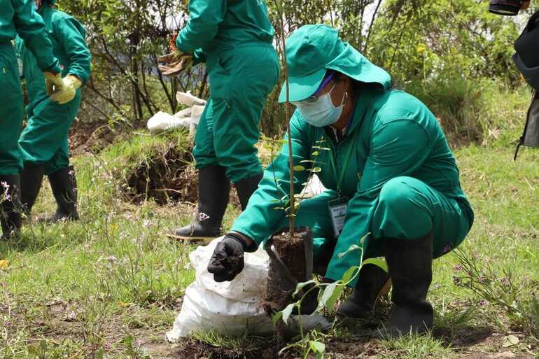Plantación Mujeres que Reverdecen