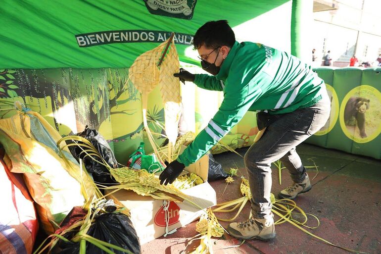 Las palmas silvestres, puntualmente las de cera y de vino, cumplen un papel fundamental en los ecosistemas como refugio y fuente de alimento para diferentes especies de fauna. Foto: Christian Valenzuela ¿ Comunicaciones Secretaría de Ambiente. Funcionarios en operativo de palma