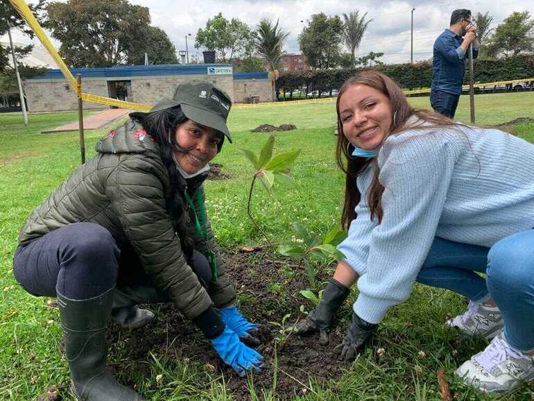 Distrito, academia y sector privado plantaron 100 árboles para conmemorar el Día de la Tierra