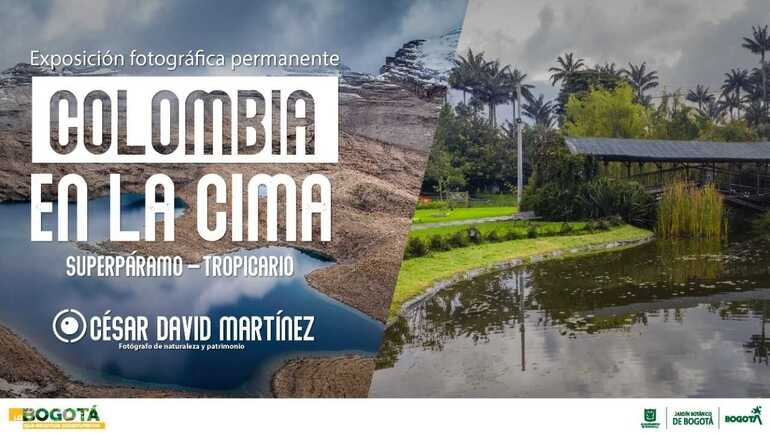 "Colombia en la cima": Un vistazo a los ecosistemas de superpáramo a través de los ojos del fotógrafo César David Martínez