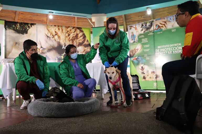 Funcionarios presentando a los animales como respondientes