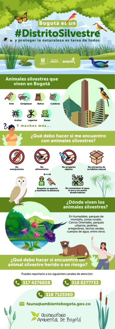 Pieza informativa sobre fauna