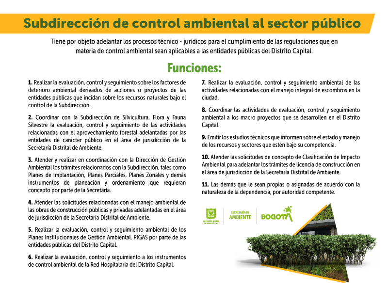 funciones subdirección de control al sector público 