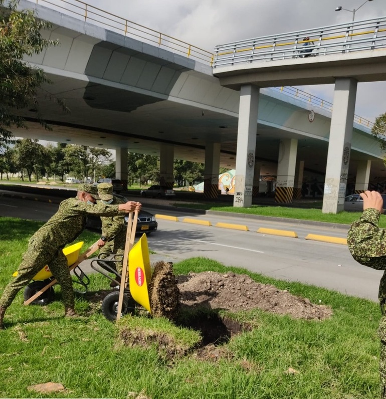 Plantación con apoyo del Ejército