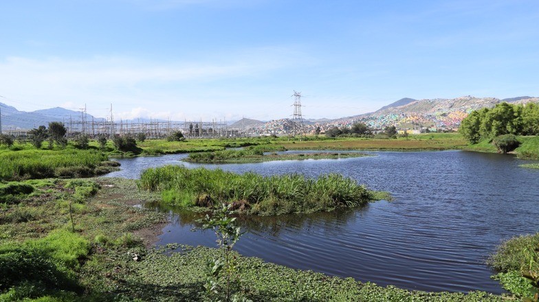 Humedal El Tunjo Ramsar