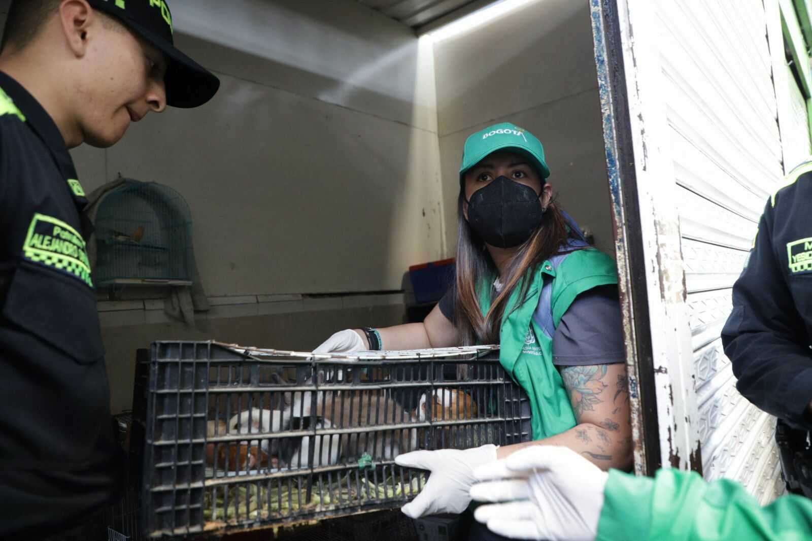 170 animales fueron rescatados por el Distrito en la localidad de Antonio Nariño