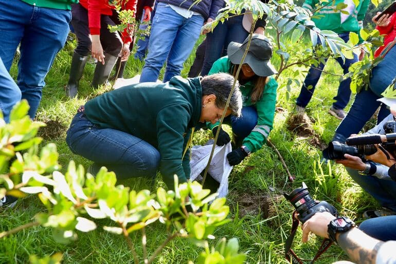 Día Internacional de los Bosques: Bogotá continua reverdeciendo