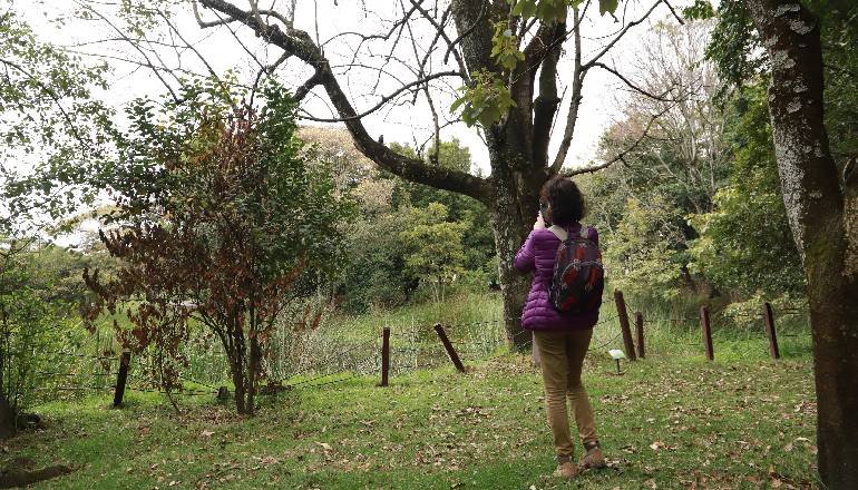humedal santa maría del lago en bogotá