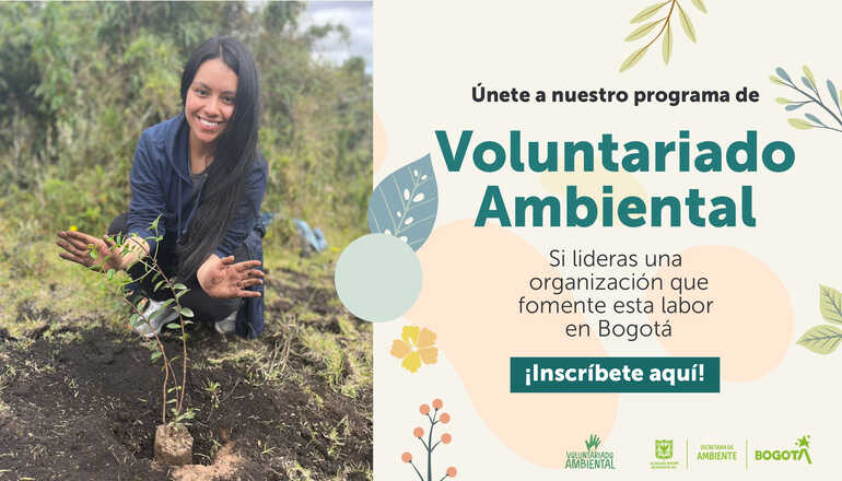 ¿Dónde hacer Voluntariado Ambiental en Bogotá?