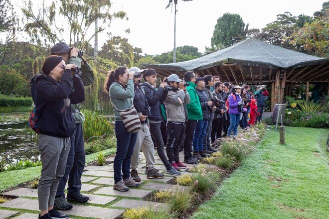 El Jardín Botánico de Bogotá realizará una actividad de avistamiento de aves para expertos y aficionados