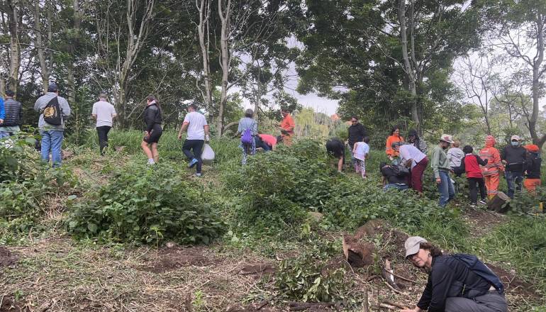 La plantación se realizó con el apoyo de la cadena de hoteles GHL. Foto: Grupo Restauración Secretaría de Ambiente