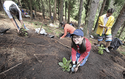 Alcaldía y sociedad civil sembraron 200 árboles en Cerros Orientales de Bogotá para conmemorar Día Mundial de la Tierra