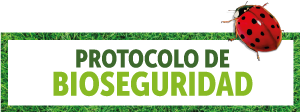 protocolo de bioseguridad