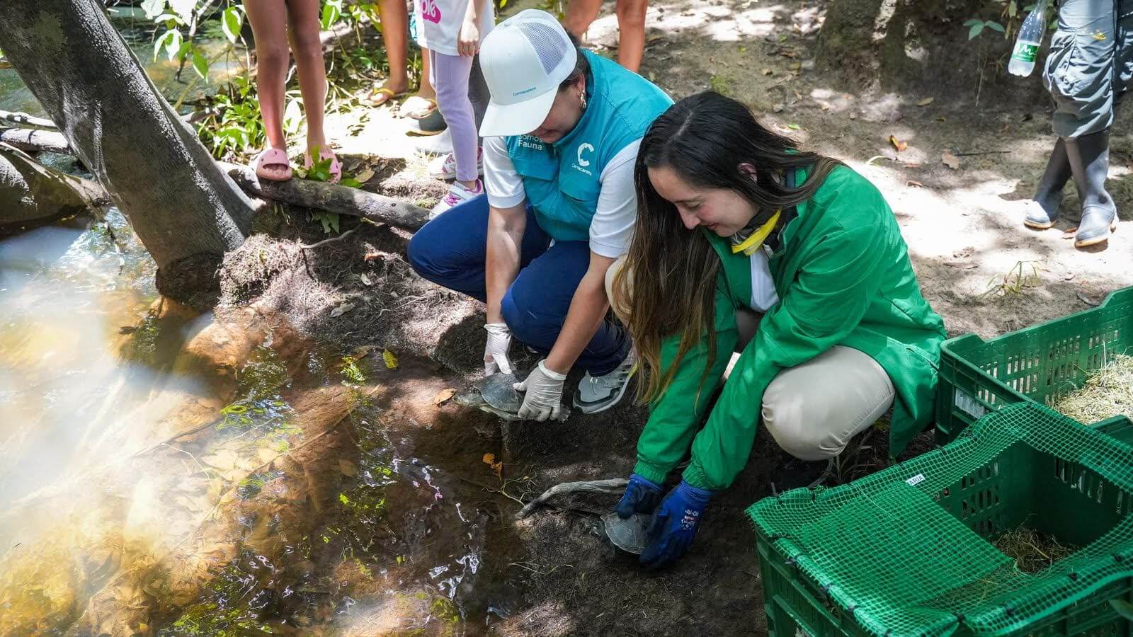 Secretaría de Ambiente de Bogotá libera en reserva Yurumí, en Meta, animales rescatados de redes de tráfico ilegal