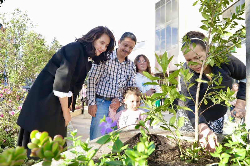 Planta árbol en Memoria de Estefania Franco