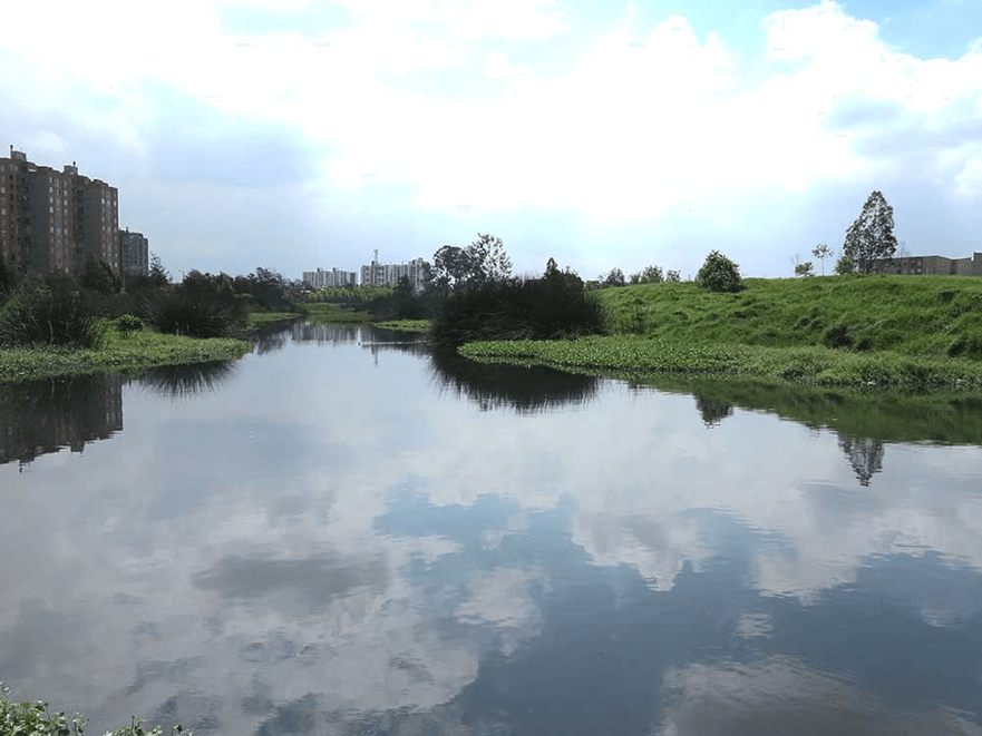 Humedales de Bogotá, unos guardianes naturales  frente a la temporada de lluvias en la ciudad