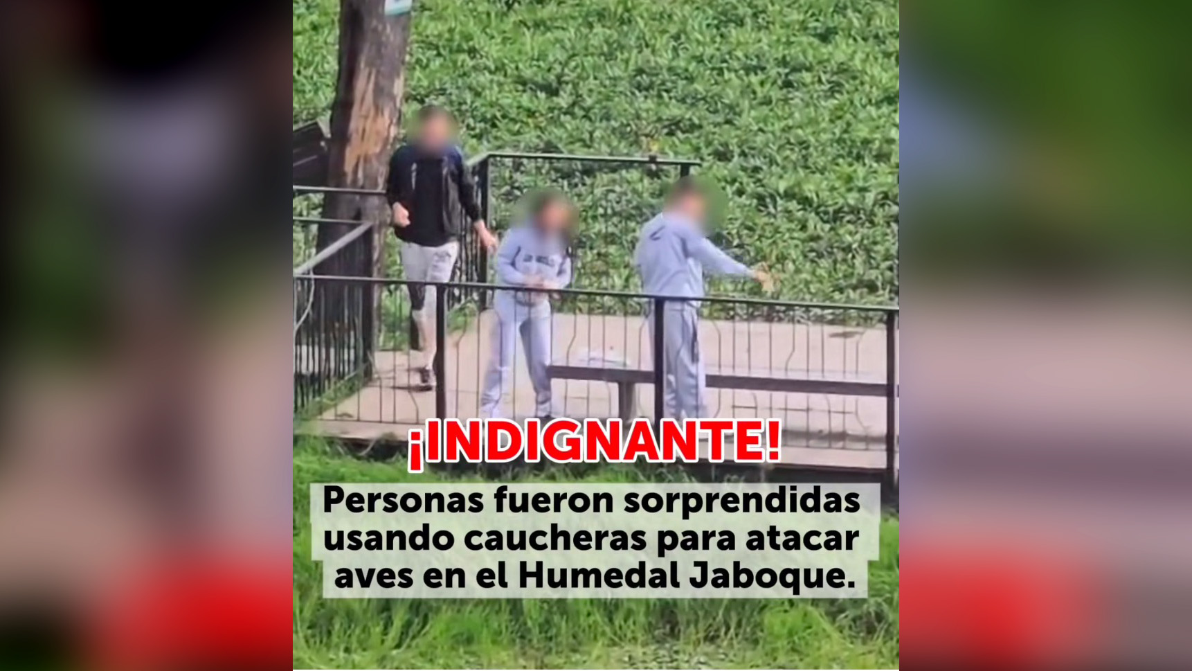 Rechazo de ataque con caucheras a aves en el humedal Jaboque