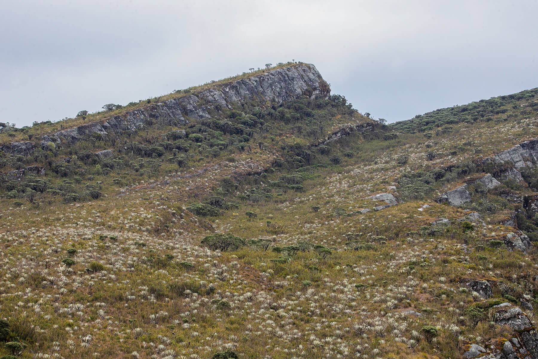 Foto: Páramo de Chingaza, uno de los ecosistemas únicos del planeta tierra- SDA.