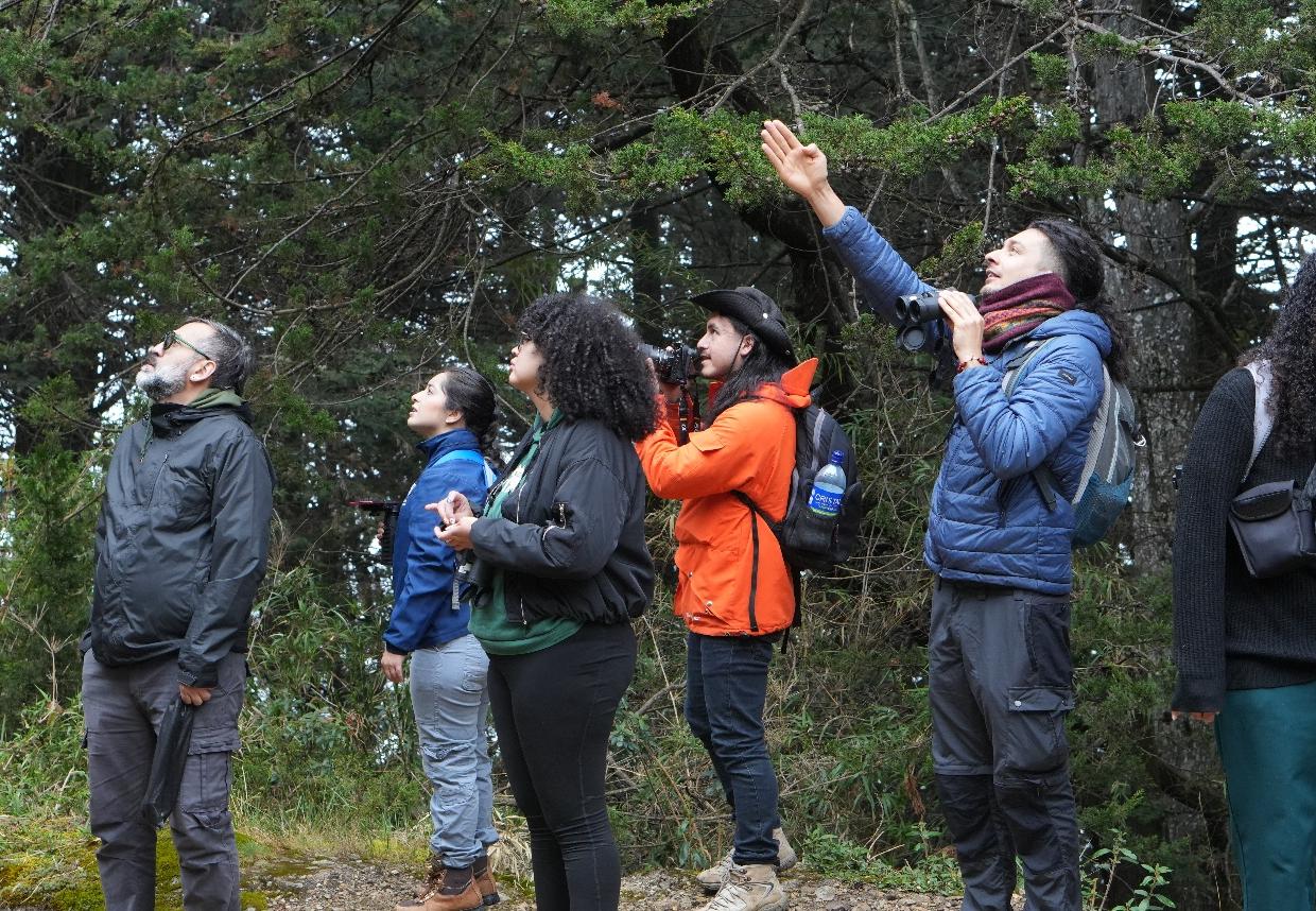 Bogotá se prepara para una jornada simultánea de monitoreo de aves en diferentes puntos de la ciudad